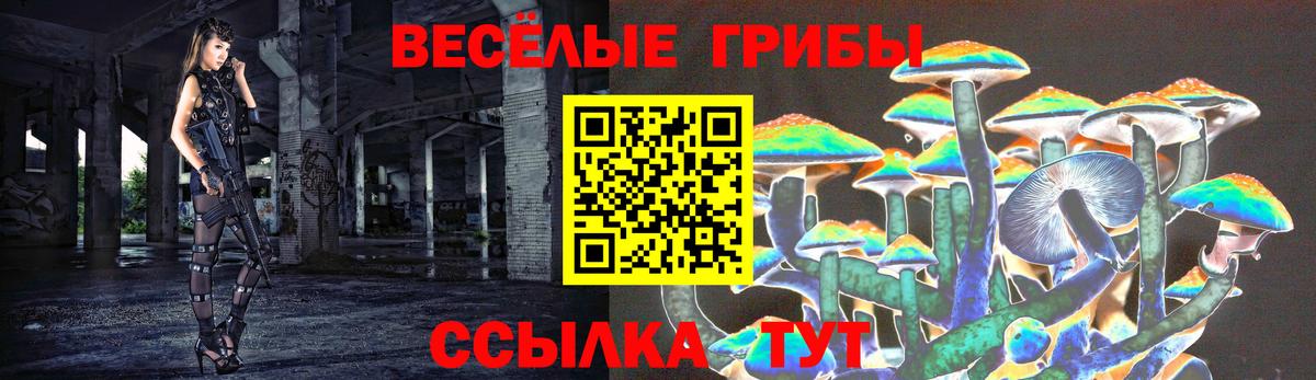 Вышний Волочёк  Галлюциногенные грибы мухоморы  Вход с VPN  что такое   Галлюциногенные грибы ЛСД 